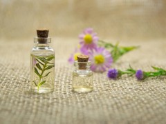 Best Perfume Seeds & Fragrances Distributor in Jakarta